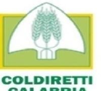 Caf Coldiretti Calabria: Conto alla rovescia per il rimborso Irpef
