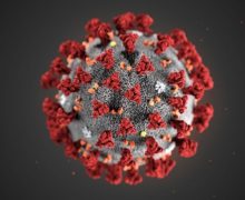 Coronavirus, 55 i positivi con un decesso