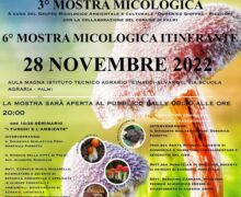Palmi, lunedi’ 28 novembre la terza edizione della mostra micologica dell’istituto di istruzione superiore Einaudi – Alvaro