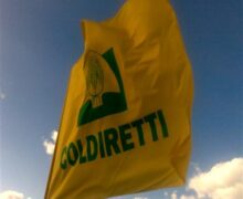 Coldiretti Calabria: la UE apre ad etichetta d’origine sotto la spinta  di Coldiretti con la raccolta delle firme per assicurare piena trasparenza