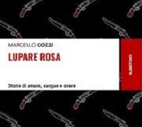Cinquefrondi, presentazione del libro “Lupare rosa” di don Marcello Cozzi